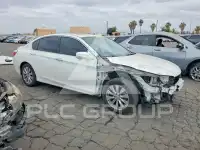 2014 Honda Accord photo