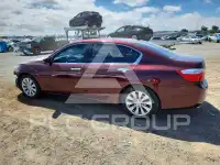2014 Honda Accord photo