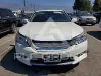 2014 Honda Accord photo