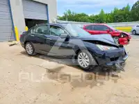 2014 Honda Accord photo