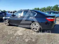2014 Honda Accord фото