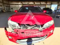 2014 Honda Accord фото