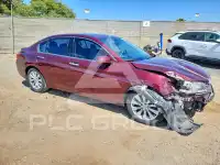 2014 Honda Accord photo