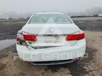 2014 Honda Accord photo