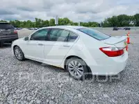 2014 Honda Accord photo