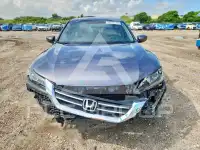 2014 Honda Accord photo
