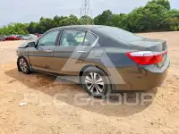 2014 Honda Accord фото