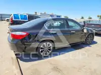 2014 Honda Accord photo