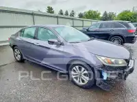 2014 Honda Accord photo