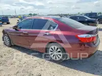 2014 Honda Accord photo