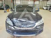 2014 Honda Accord photo