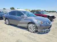 2014 Honda Accord photo
