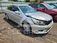 2014 Honda Accord photo