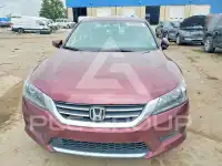 2014 Honda Accord photo