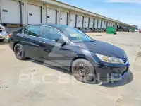 2014 Honda Accord photo