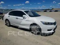 2014 Honda Accord photo