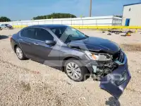 2014 Honda Accord фото
