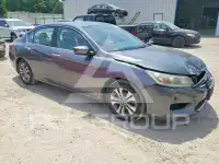 2014 Honda Accord photo
