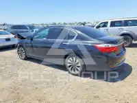 2014 Honda Accord фото