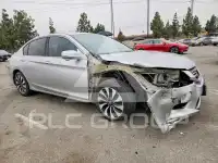 2014 Honda Accord photo