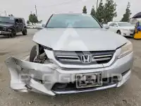 2014 Honda Accord photo