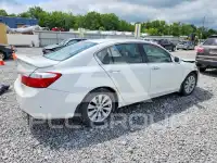 2014 Honda Accord photo
