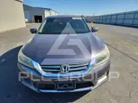 2014 Honda Accord фото