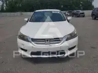 2014 Honda Accord photo