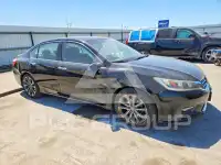 2014 Honda Accord photo