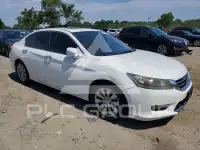 2014 Honda Accord photo