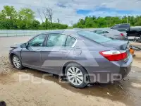 2014 Honda Accord photo