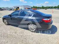 2014 Honda Accord photo
