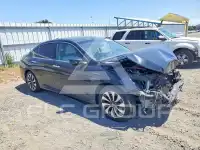 2014 Honda Accord фото