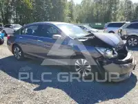 2014 Honda Accord photo
