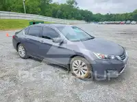 2014 Honda Accord photo