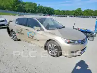 2014 Honda Accord photo