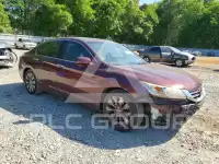 2014 Honda Accord photo