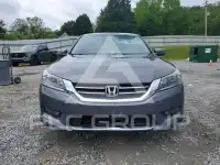 2014 Honda Accord photo