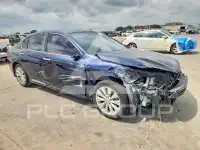 2014 Honda Accord photo