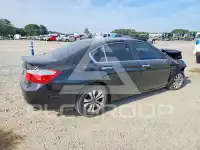 2014 Honda Accord photo