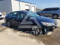 2014 Honda Accord фото