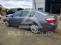 2014 Honda Accord photo