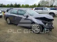 2014 Honda Accord photo