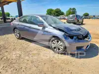 2014 Honda Accord photo