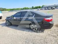2014 Honda Accord photo