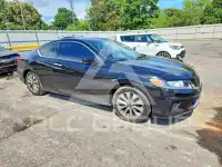 2014 Honda Accord photo
