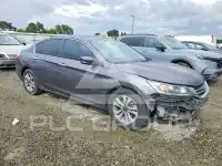 2014 Honda Accord photo