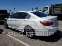 2014 Honda Accord фото