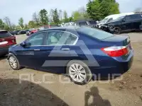 2014 Honda Accord photo