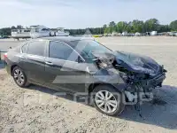 2014 Honda Accord photo